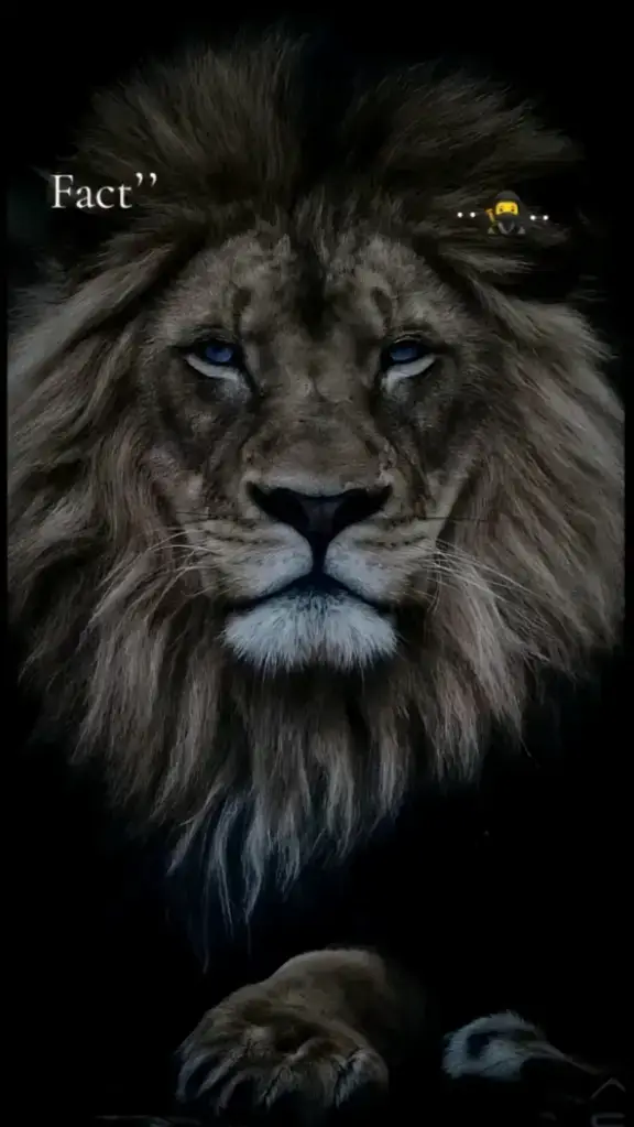 #fyp #foryou #fy #freefire_lover #fyppppppppppppppppppppppp