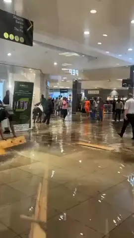 germiston golden walk #capcut 