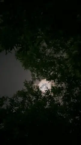 #قمر #الشرقيه #الخبر #viral 