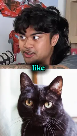 Cats like you? 😱 #jumpersjump #jumpersjumppodcast #theory #scary #mystery 