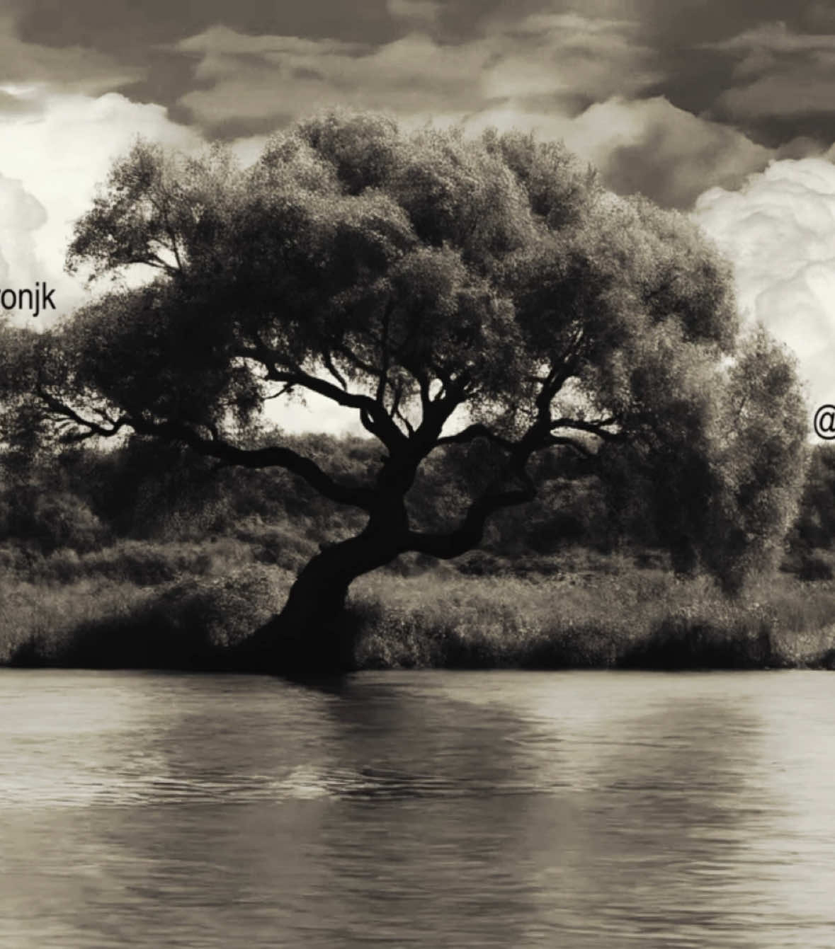 Bi günlük ⚰️ beni. #kayra #farazi #farazivkayra #türkçerap #lyricsedit 