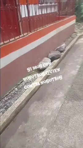 #foryou #foryoupage #fyp #parati #paratupagina 