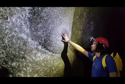 At the border between Albania and Greece, the largest spider web in the world was discovered — it is home to over 111,000 spiders. The 