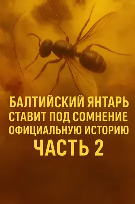 #CapCut #интересное #янтарь 