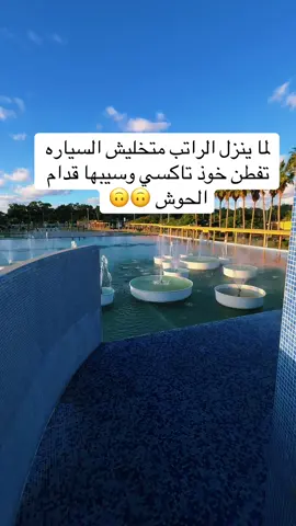 ##creatorsearchinsights #مضحك😂 