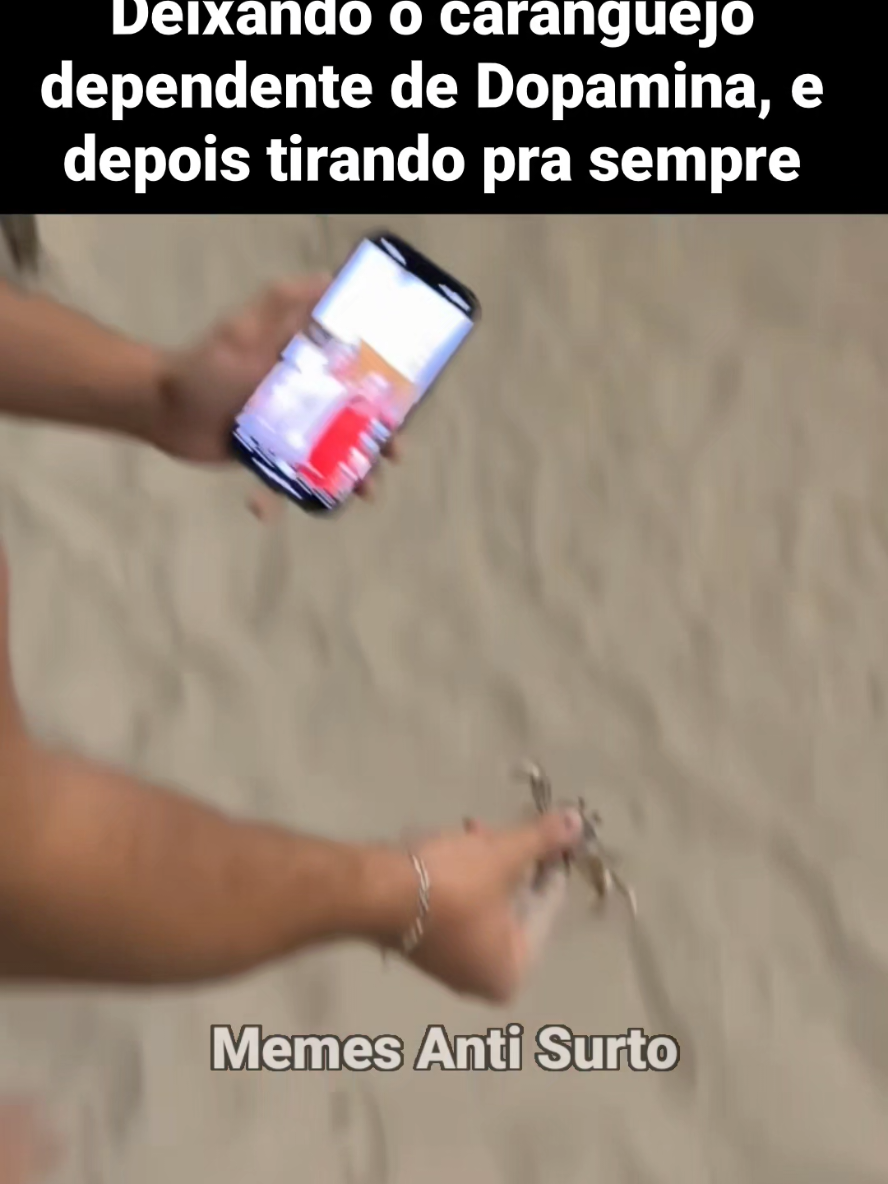 @Ezro deixando os animais dependentes. #dopamina #screen #reels #meme #caranguejo 