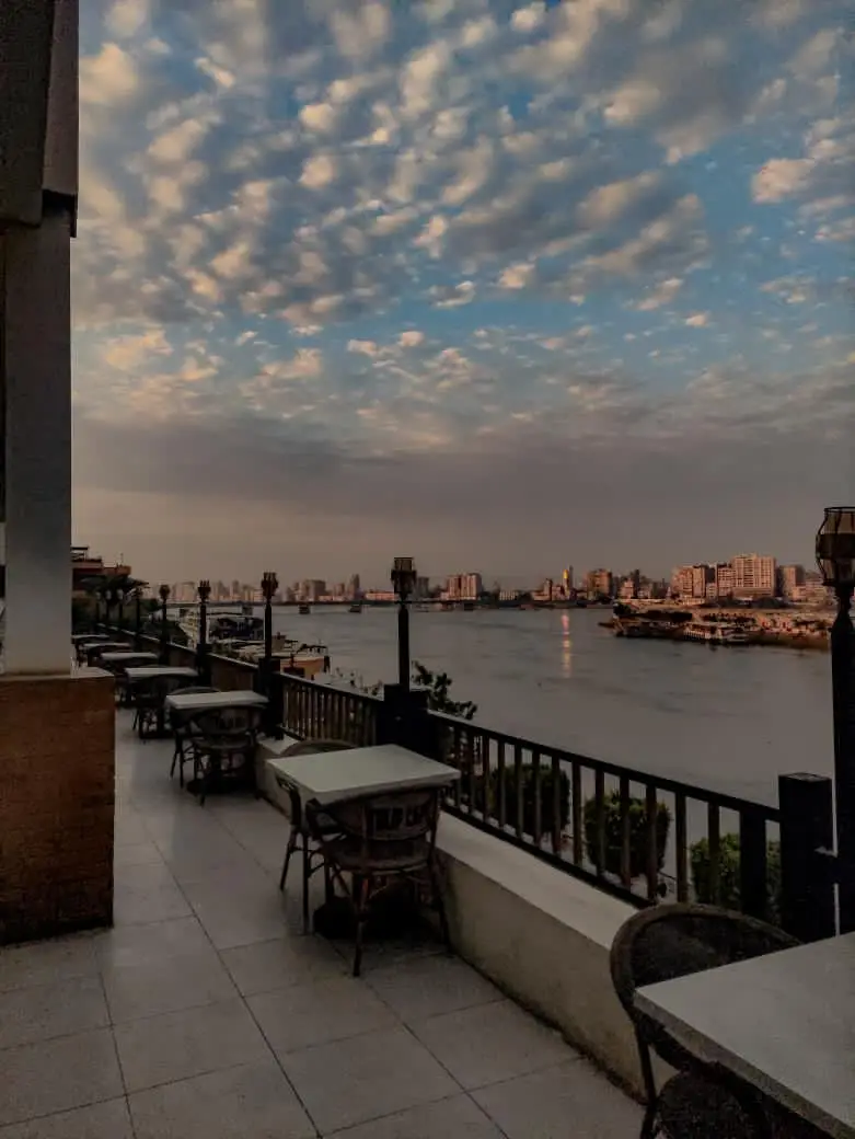 شتاء يعني تسمع فيروز وانت بتشرب القهوه بتاعتك ف توليب🌫😌❤️❤️❤️❤️❤️❤️❤️❤️❤️❤️❤️ #sohag 