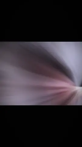 những cánh hoa hồng... #chuyenlequydondanang #cap3 #xuhuong #fyp #viral 