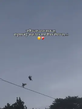 #CapCut নারী হওয়া এতো সহজ না, মানুষের কটু- কথা শুনে সারাজীবন বাঁচতে হয়!😊❤️‍🩹#trendingvideo #foryou #viralvideo #tiktok?bangladesh #foryoupage 