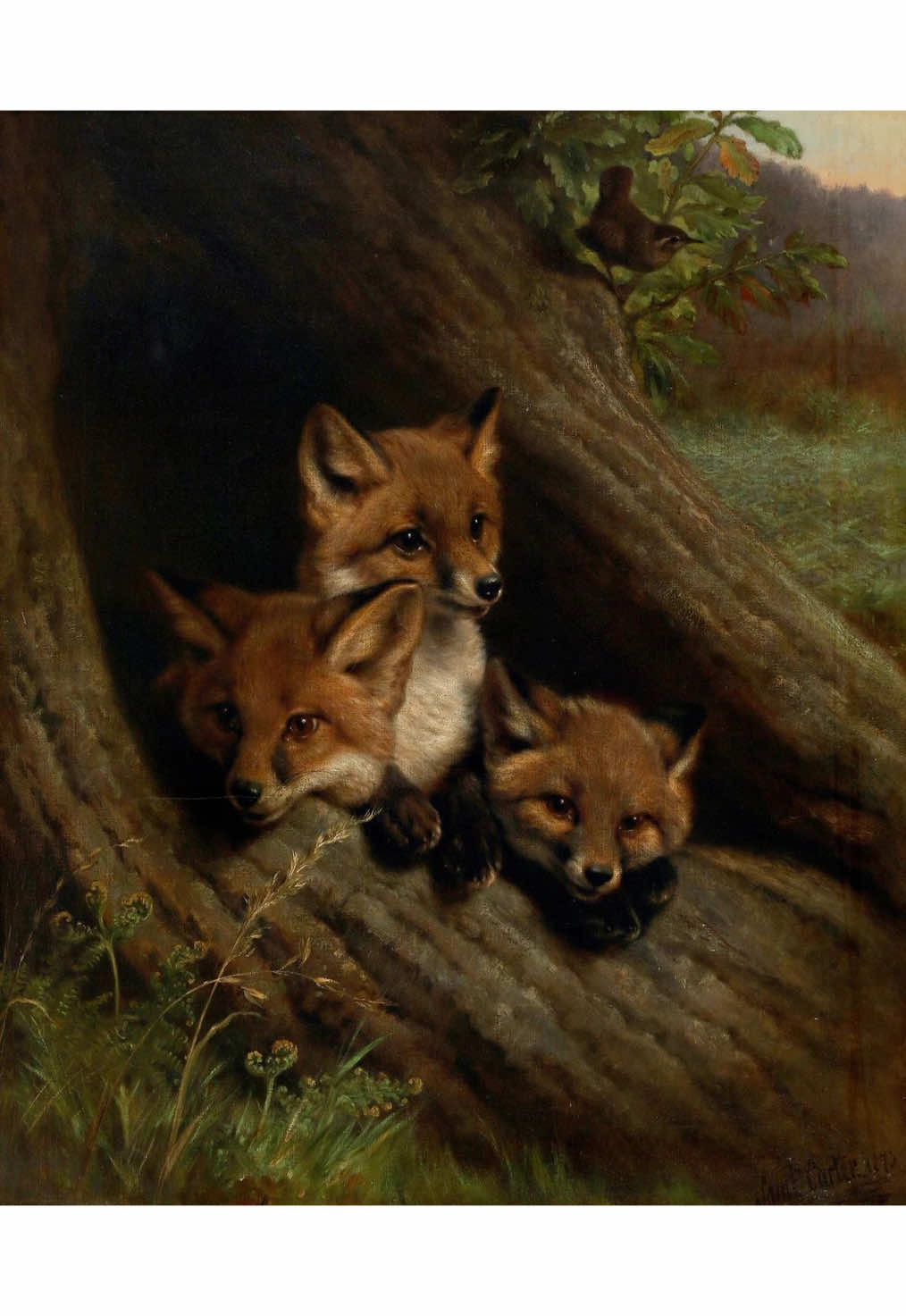 the most majestic animal i swear  #fox #nature #animals #edit #fyp @ೀ𝐚𝐥𝐲𝐬࣪ ִֶָ☾. @renee❦ 