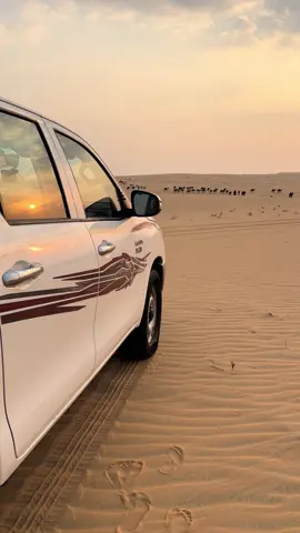 #الرمله#الربع_الخالي#شبيطة#السولعيه#