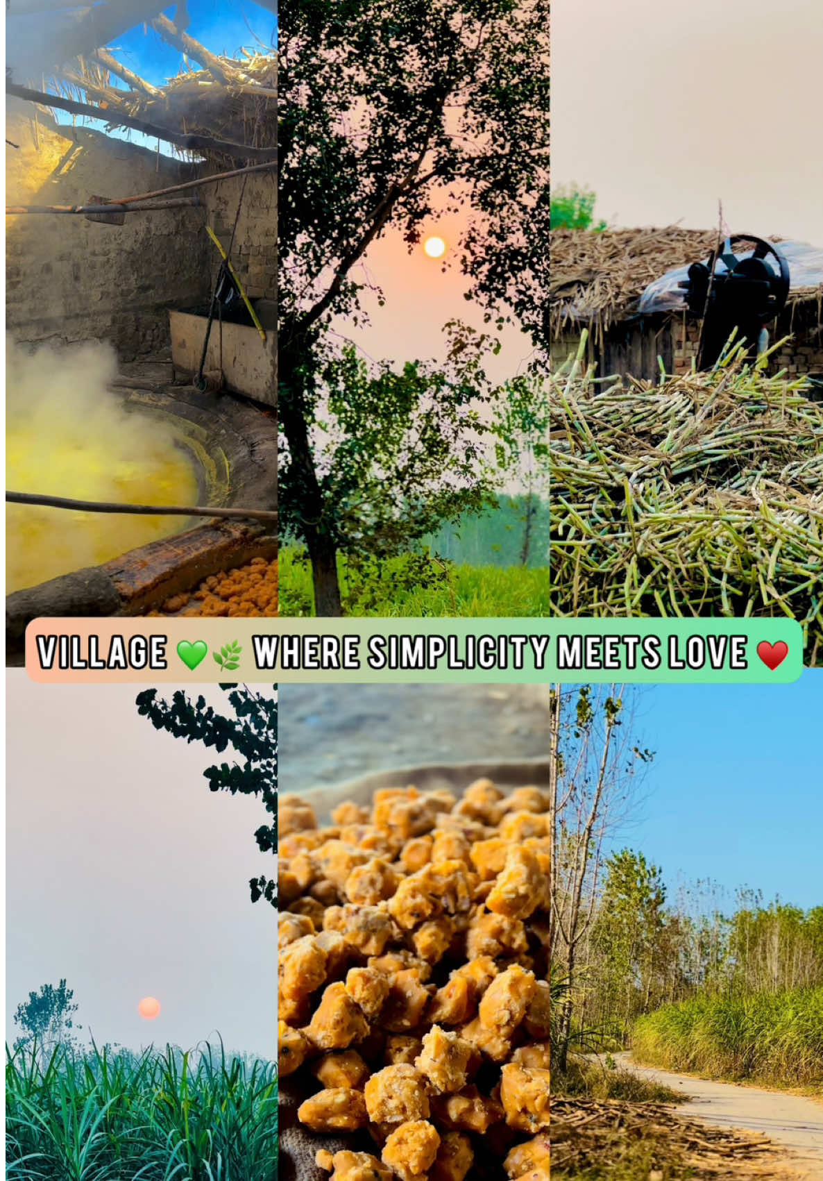 سانپ کھال بدل سکتا ہے، مگر اپنی فطرت نہیں🖤#foryou #foryoupage #itz__umair_4 #videography #winter2025 