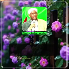 Culamaa'u suufiyah yaa kamid ahaa Sheikh Saalax mucalim Cabdullaahi