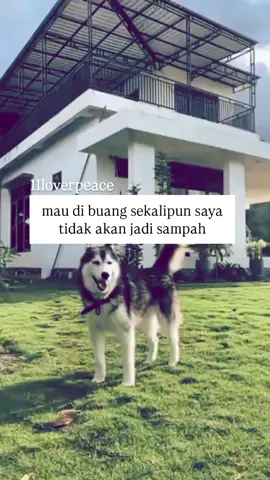 #katakata#storykatakata#11loverpeace#fyp#4u 