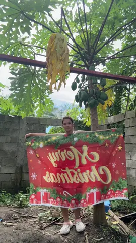 #merrychristmasbanner #christmasbanner #christmasdecorations 