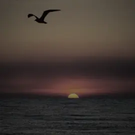 🖤#ئەکتیڤبن🥀🖤ـہہـ٨ــہ #ئەکتیڤ_سفڕە_یەک_تۆز_ئەکتیڤ_بن_دڵەکان😻💔 