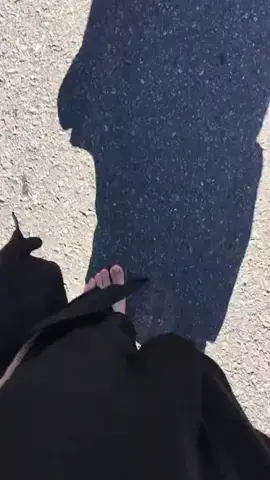 #tiktok_viral_video #100k #foryoupage❤️❤️ #afghanistan🇦🇫 #foryoupageofficial 