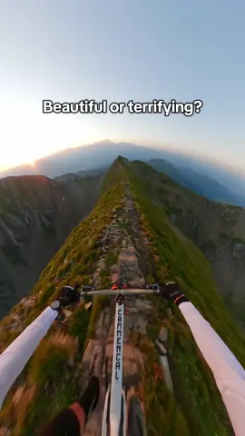 The perfect trail for @Kilian Bron + #GoProMAX2 🤤 #gopro #pov #mtb #bike 