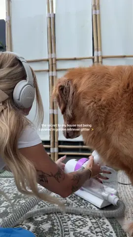 my most used product!! must have for every dog owner!! 