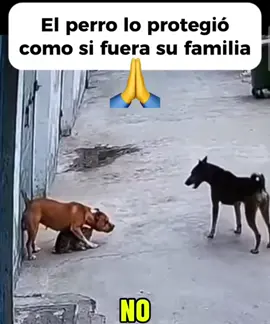 #LIVEIncentiveProgram #LIVECanBeEasy #PaidPartnership 