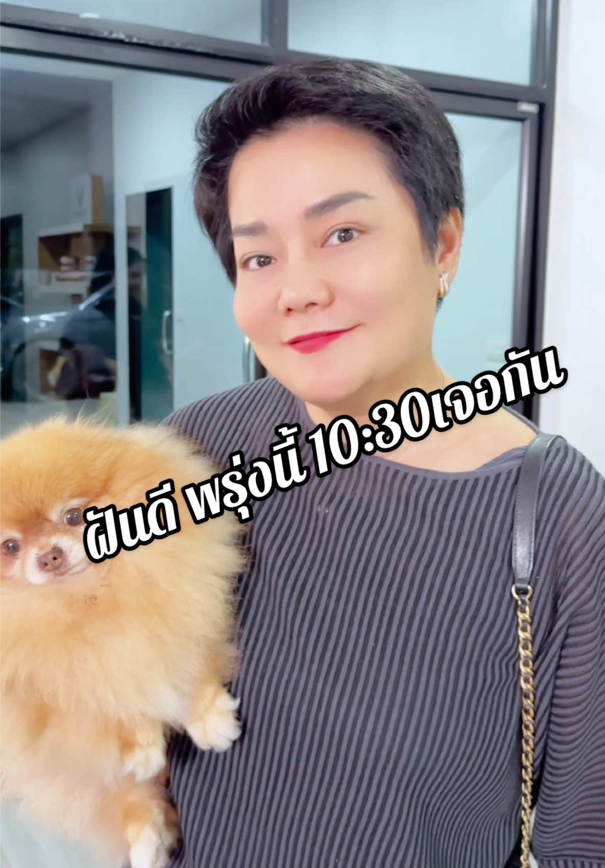 คืนนี้พี่ไก่มาบอกฝันดีพรุ่งนี้เจอกัน#พี่ไก่รัญจวน #ของไม่ดีพี่ไม่ทำ #รัญจวน #ติดตามด้วยนะ #พี่ไก่เลี้ยงหมา17ตัว 