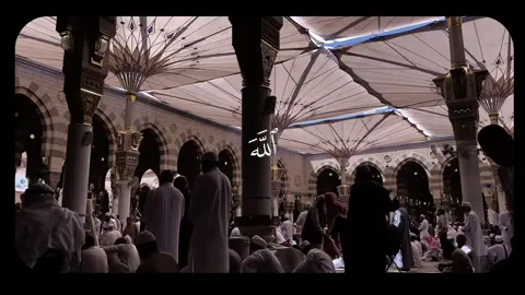 صَلّوا عَلَيهِ وَسَلِّموا تَسليمًا #قران #قرآن #قران_كريم #quran #ياسر_الدوسري 