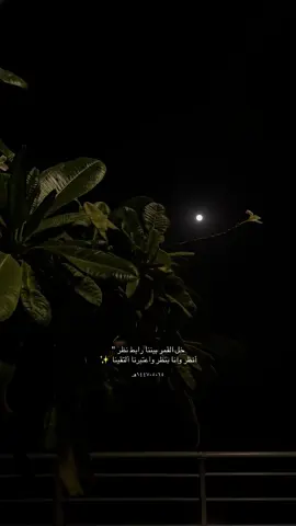 #اكسبلورexplore 