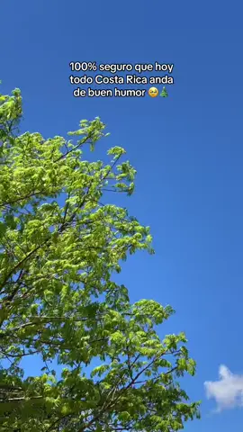 ¡Llegó llegó! 😭✨ #costarica #navidad #clima #viento #puravida 