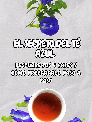 ¿Sabías que existe una flor con 1,300% más antioxidantes que el limón? 🌸✨ Se trata del té azul, también conocido como té de flor guisante de mariposa o Aparajita tea, una infusión natural que ha ganado fama por sus propiedades antioxidantes, antiinflamatorias y rejuvenecedoras. Beberlo de forma constante puede ayudarte a equilibrar el estrés, mejorar el ánimo, favorecer la concentración y darle un brillo natural a tu piel. Además, su tono azul intenso no solo es hermoso, sino completamente natural 💙. Perfecto para quienes buscan una bebida saludable, sin cafeína, y llena de beneficios para cuerpo y mente. Aquí te enseño cómo prepararlo paso a paso para disfrutar de todos sus efectos. 🌿 🫖 Receta del té azul (Aparajita tea) 🌸 Ingredientes: 1 taza de agua (250 ml) 4 a 6 flores secas de guisante mariposa (Clitoria ternatea) Miel o endulzante natural (opcional) Jugo de limón (opcional, para cambiar el color a violeta 💜) 🥣 Pasos: Calienta el agua hasta que esté a punto de hervir. Agrega las flores secas de guisante mariposa. Deja reposar de 5 a 10 minutos hasta que el agua adquiera un color azul intenso. Cuela las flores. Endulza con miel o tu endulzante favorito. (Opcional) Añade unas gotas de limón y observa cómo el color cambia mágicamente a violeta. 🍋✨ Disfruta caliente o con hielo. ❄️ ⚠️ Disclaimer: 📘 Este video es solo para información general. No constituye consejo médico. Consulta con tu médico antes de probar cualquier remedio casero o consejo de salud. 🙏 #parati #fyp #bluetea #aparajita 