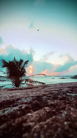 මේක ඔයාට Admin ළමයෝ ❤️‍🩹! #themiii_page #background #backgroundvideo #quotes #foryou 