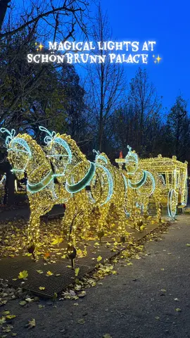 A night full of sparkle in Vienna! 💫 Stunning light sculptures transform the gardens of Schönbrunn Palace into a fairytale wonderland. 🌹🐎🏰 Would you take a walk here? 😍✨ #Vienna #Schönbrunn #LightFestival #ChristmasInVienna #ViennaLights         ✨