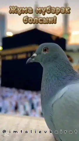 #жұмамүбәрәкболсын 