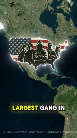 Do you know? #usa#americans#unitedstates#geography#doyouknow#learnontiktoktogether#viralvideo#fyp#states#largest#gang#theus