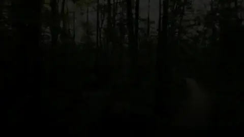 #قران_كريم #ارح_سمعك_بالقران  #اكتب_شي_توجر_عليه #الحمدالله_علی_کل_حال❤ 