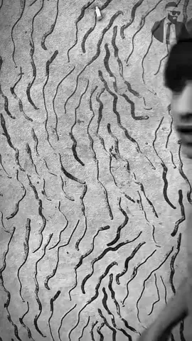 متابع 1 وادخل 13k#استاذ_قاسم #مصممين #كتر #العمده #مشاهير_العراق @استاذ قاسم الحساب الرسمي @استاذ قاسم الاحتياطي @حمزه احمد 🍃💜 