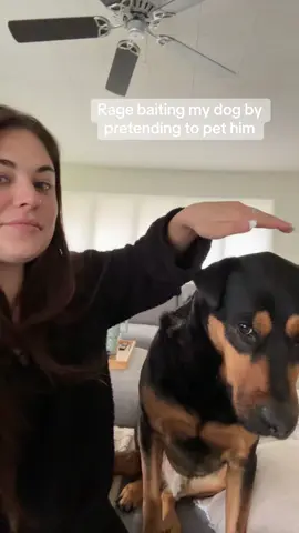Mom is the queen of pranks 😂 #dogsoftiktok #funnydog #fyp #dog #prank 