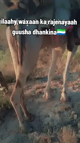 🇸🇱🇸🇱🇸🇱🇸🇱🇸🇱🇸🇱🇸🇱🇸🇱🇸🇱🇸🇱🇸🇱🇸🇱🇸🇱🇸🇱🇸🇱🇸🇱🇸🇱🇸🇱🇸🇱🇸🇱🇸🇱🇸🇱🇸🇱🇸🇱🇸🇱🇸🇱🇸🇱🇸🇱🇸🇱🇸🇱🇸🇱🇸🇱🇸🇱🇸🇱🇸🇱🇸🇱🇸🇱🇸🇱🇸🇱🇸🇱🇸🇱🇸🇱🇸🇱🇸🇱🇸🇱🇸🇱🇸🇱🇸🇱🇸🇱🇸🇱🇸🇱🇸🇱🇸🇱@Kornayl xafso🇸🇱🇸🇴 @AXMED❣️DALXOREEYE🇸🇱🇸🇱 @ABWAAN GTL 