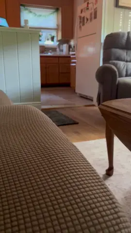 Since we are new to Tik Tok, I am trying to catch you up on Duke’s videos. We started our journey on Instagram at lifewithduke2025 and thought we would share the live here! Thank you for following this wild and crazy journey with our Duke! #goldenretriever #funnydogsoftiktok #funnydogs #rescuedogs #seniordogs 