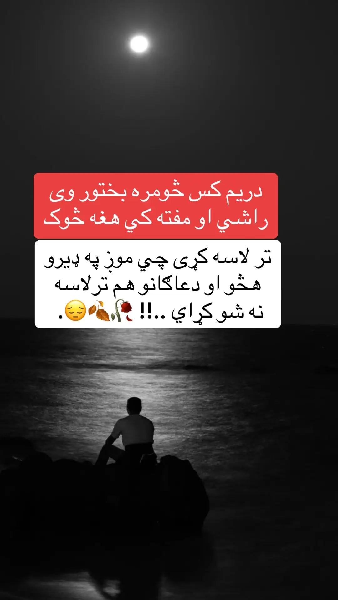 #تاجیک_هزاره_ازبک_پشتون_ترکمن🇦🇫 