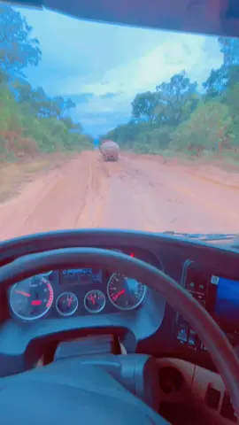 #visibilite #performance #lubumbashi😘🌺congolaise🌺😍 #fungurume🇨🇩 #💪💪💪 