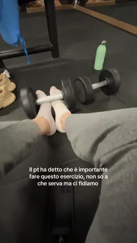 Ig Avroraa.h  For those who don’t speak Italian, it says “My personal trainer said this exercise is important, I don’t know why but we trust them.”