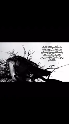 #foryou #fyppppppppppppppppppppppp #الشعب_الصيني_ماله_حل😂😂 #مالي_خلق_احط_هاشتاقات🧢 