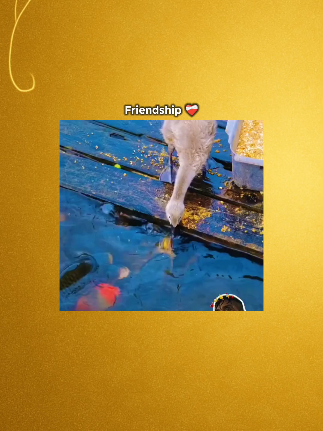 এটাই বন্ধুত্ত ❤️‍🩹