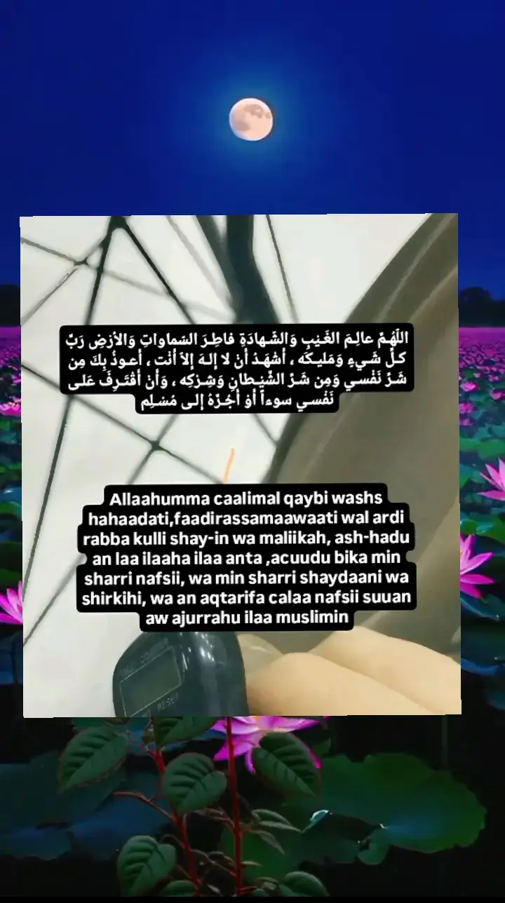 #القران_الكريم_راحه_نفسية😍🕋  #اللهم_صلي_على_نبينا_محمد  #WhatToWatch  #paidpartnership  #sportsontiktok 