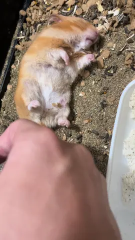 chắc nó thấy tao chưa đủ áp lực