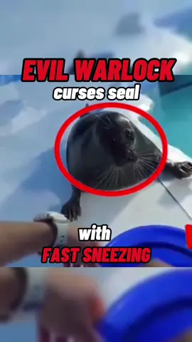 And he never recovered… #seal#funny#cute#meme#tuffcritters