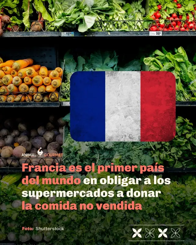 Francia pone el ejemplo para combatir el desperdicio de alimentos ¿Crees que es necesario que más países se sumen? #francia #zerowaste #desperdiciodecomida 
