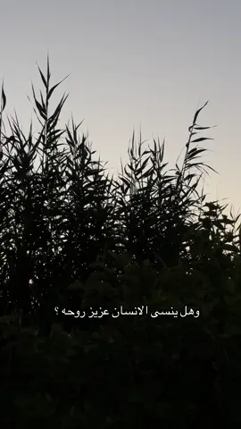 #باسم_الكربلائي_رادود_ما_له_مثيل #تصميم_فيديوهات🎶🎤🎬 #سمير_صبيح❤️ #اشعار_حزينه_موثره #fyp 