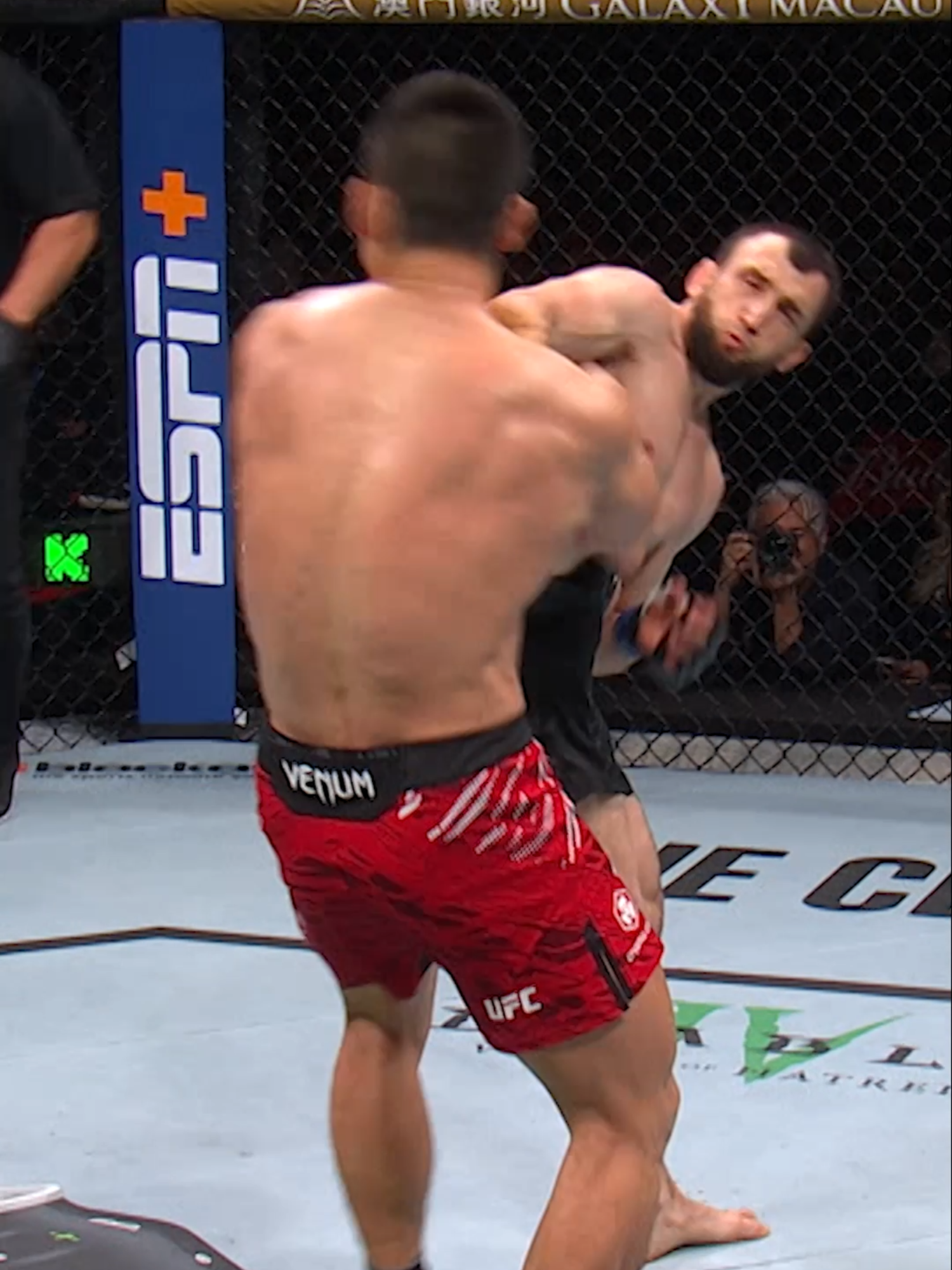 A PERFECT KNOCKOUT 😮‍💨 Muslim Salikhov is hunting for another finish this Saturday! #UFC #mma #muslimsalikhov