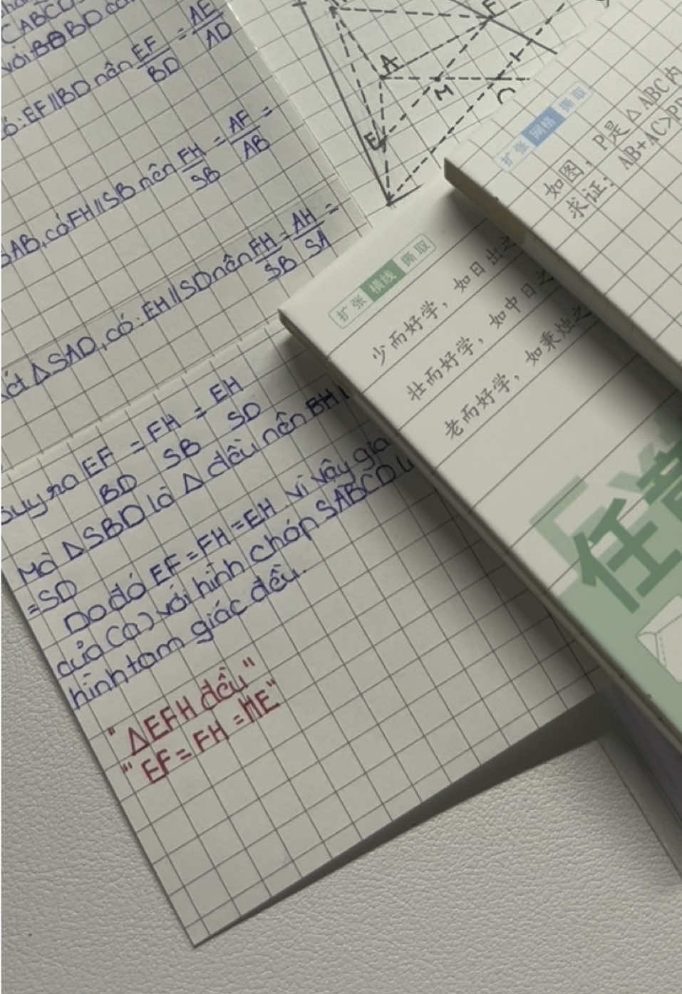 sp đây nèe#xh #fyp #hoctap 